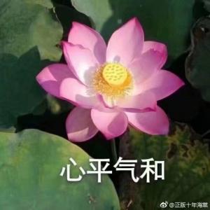 非程之言
