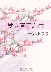 爱豆官宣之后